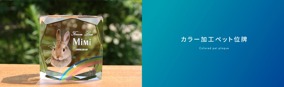 カラー加工