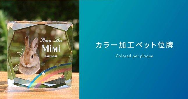 カラー加工